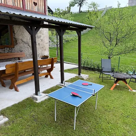 Apartma Devs Краньска Гора